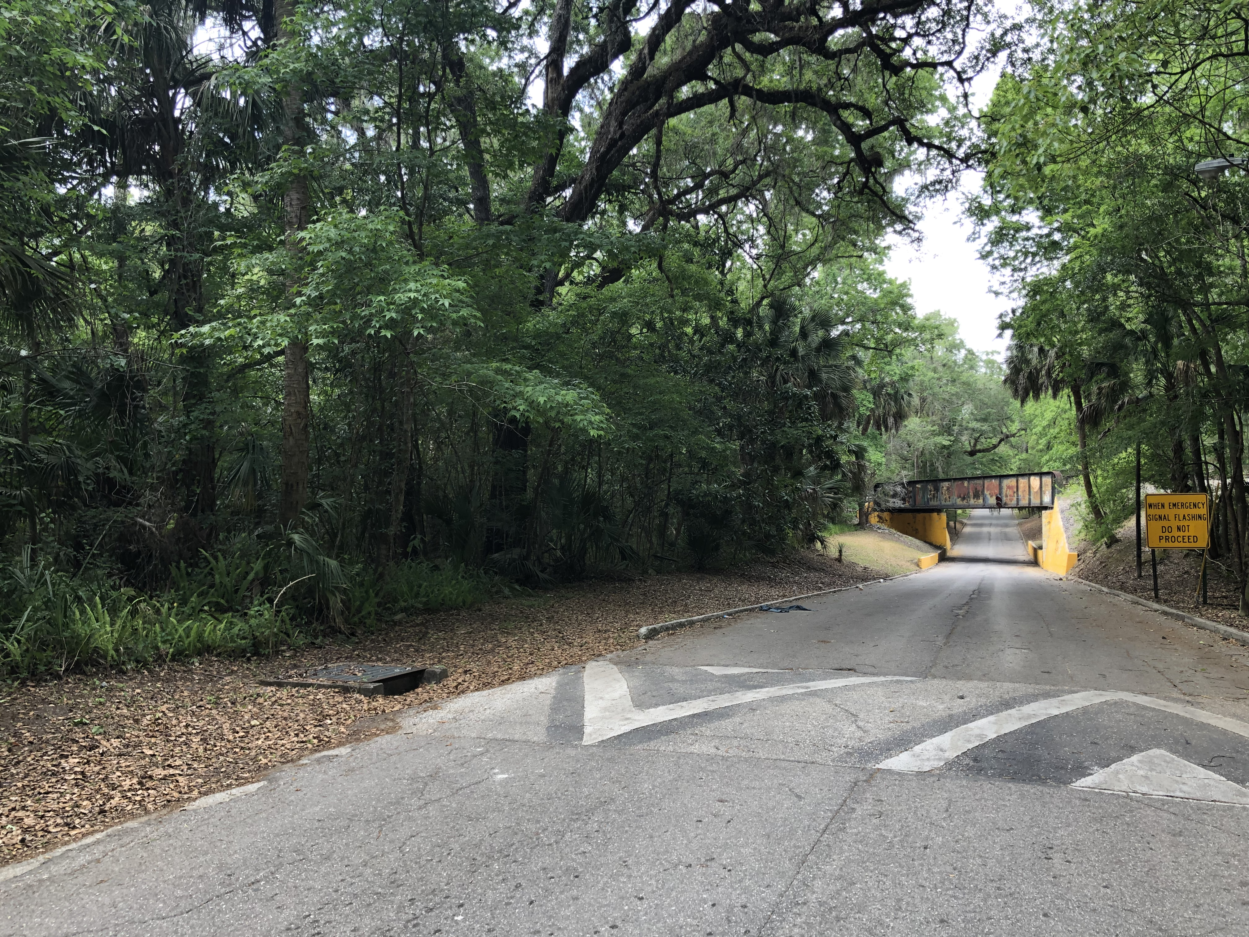  300 block of Stafford Avenue, Brooksville 